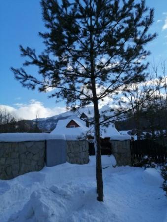 Domek Zakopianska Chata Zakopane Bagian luar foto